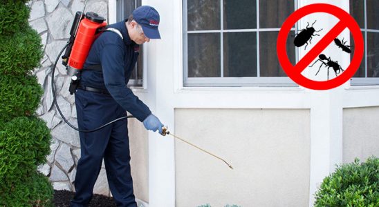 Düzce Böcek İlaçlama böcek ilaçlama ve haşere kontrolü — ilaclama-tr.com